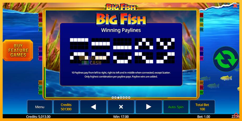 Big Fish машина за игри за пари, слика 6