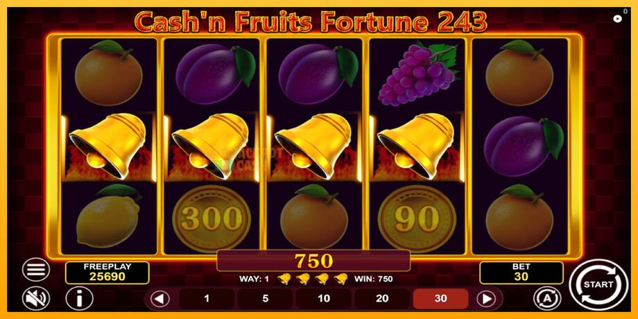 Cashn Fruits Fortune 243 машина за игри за пари, слика 5