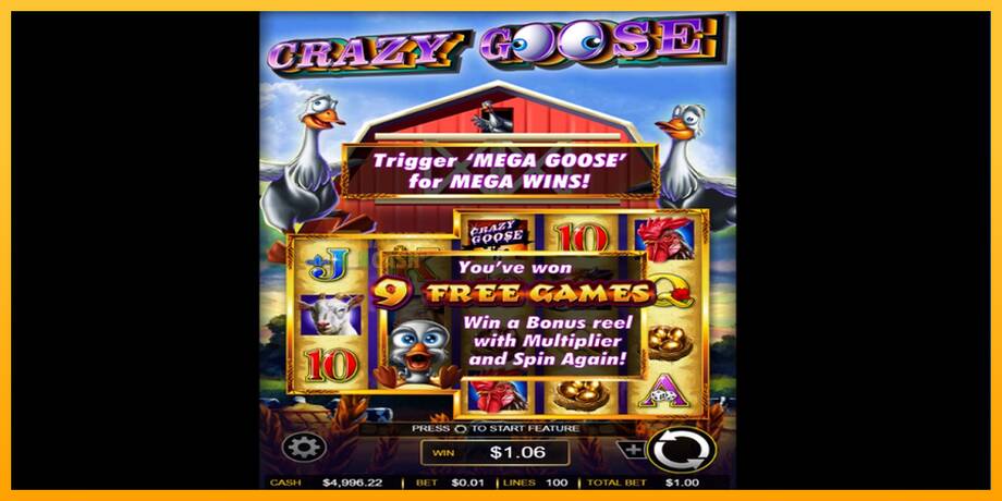 Crazy Goose машина за игри за пари, слика 3