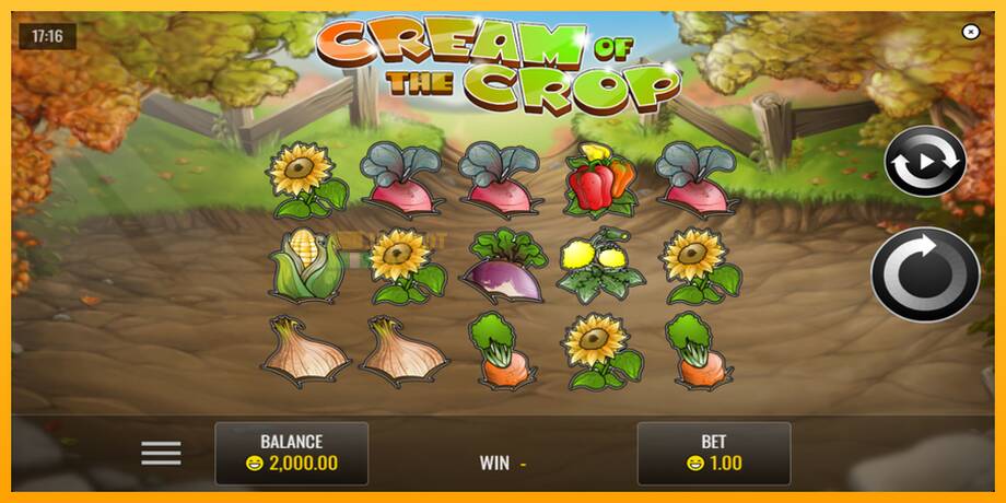 Cream of the Crop машина за игри за пари, слика 2