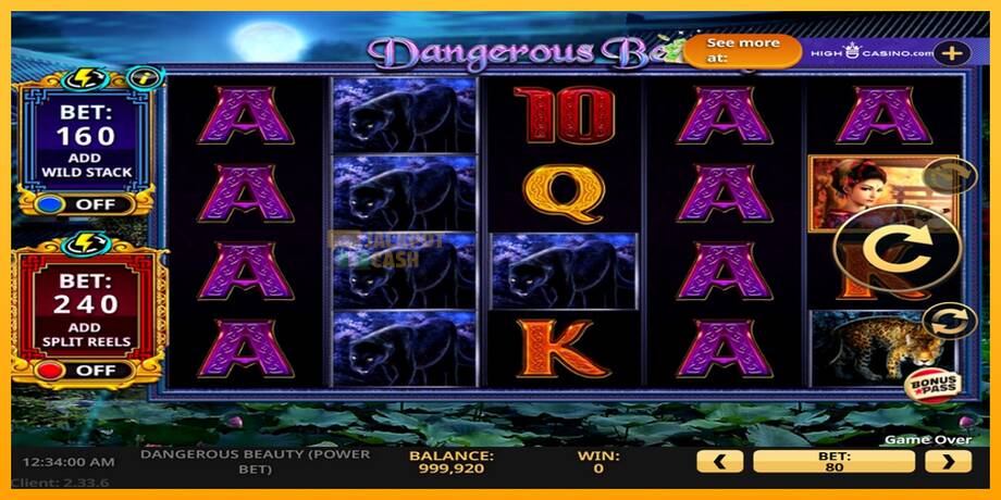 Dangerous Beauty Power Bet машина за игри за пари, слика 2