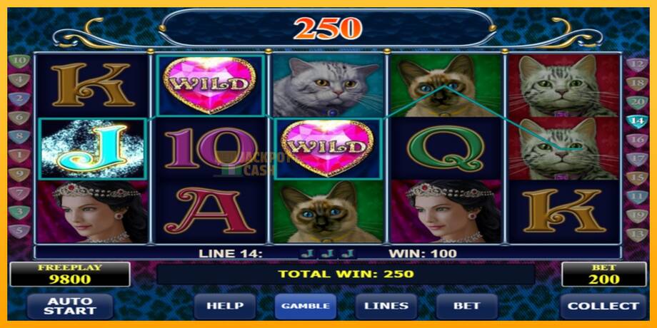 Diamond Cats машина за игри за пари, слика 2