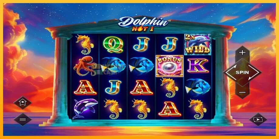 Dolphin Hot 1 машина за игри за пари, слика 2