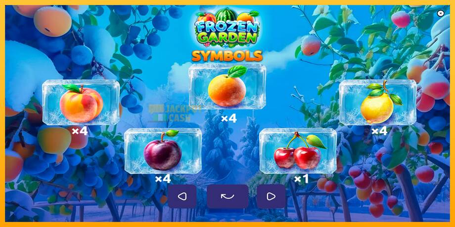 Frozen Garden машина за игри за пари, слика 6