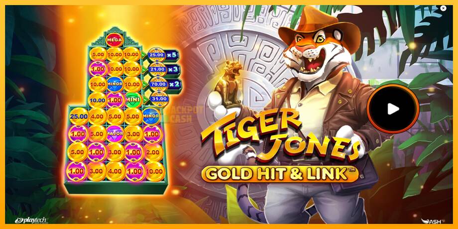 Gold Hit & Link: Tiger Jones машина за игри за пари, слика 1