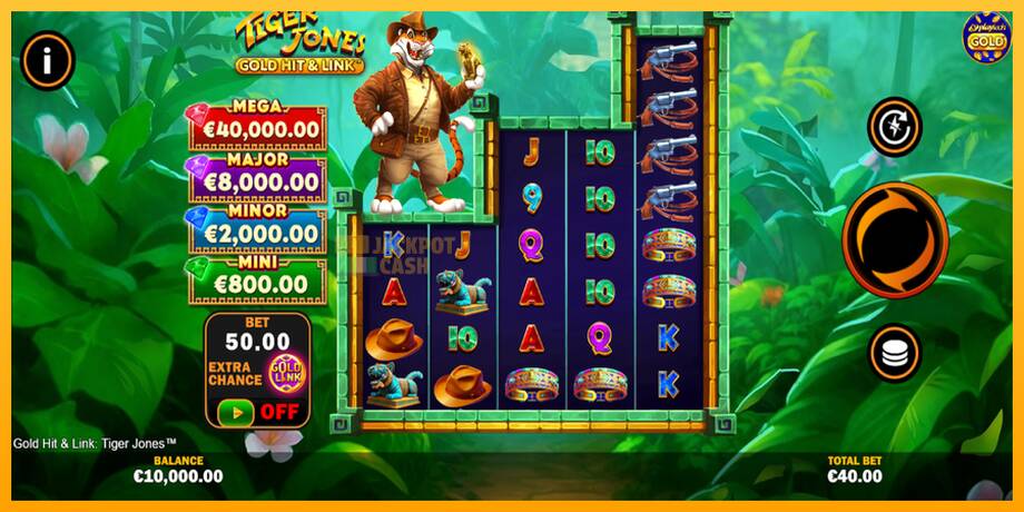 Gold Hit & Link: Tiger Jones машина за игри за пари, слика 2