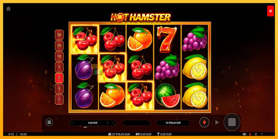 Hot Hamster машина за игри за пари, слика 2