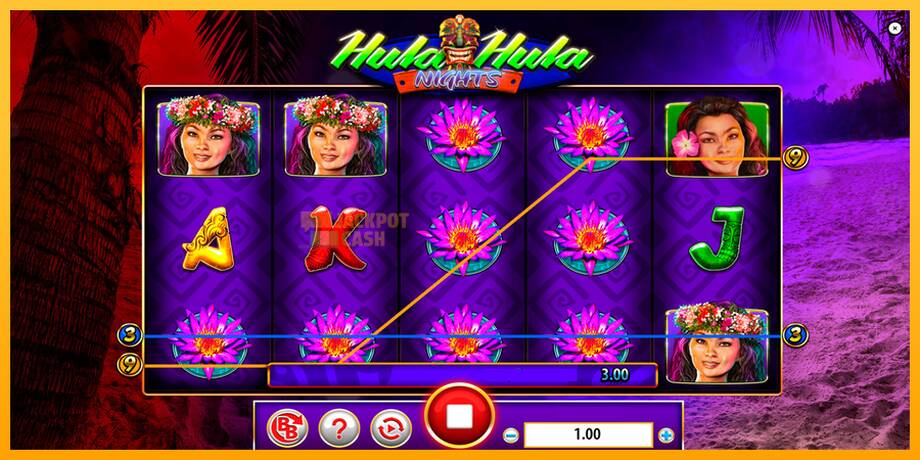 Hula Hula Nights машина за игри за пари, слика 2