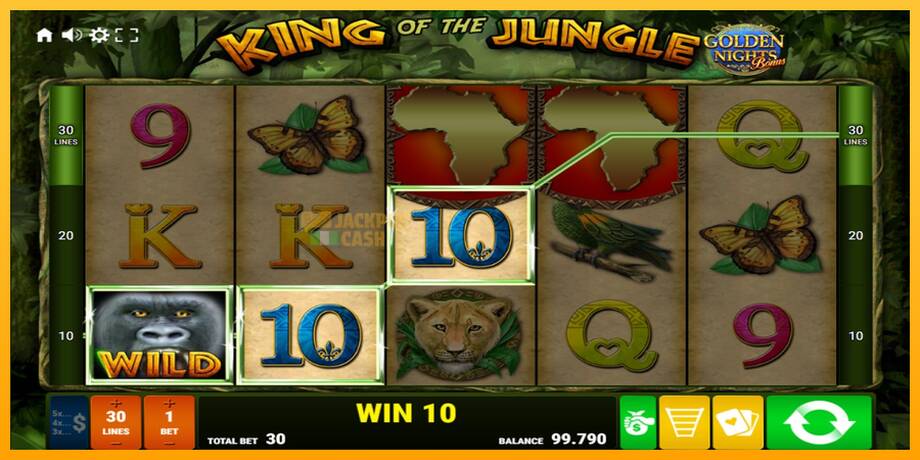 King of the Jungle Golden Nights машина за игри за пари, слика 2