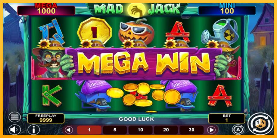 Mad Jack Hold & Win машина за игри за пари, слика 2