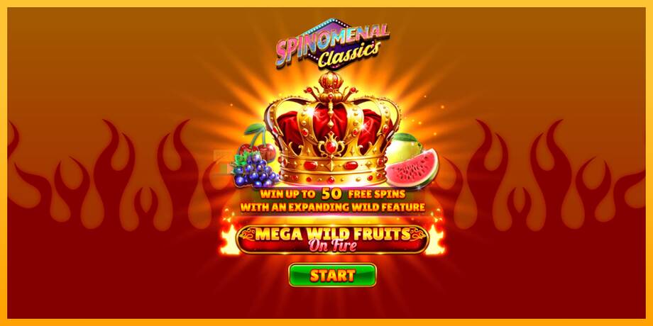 Mega Wild Fruits - On Fire машина за игри за пари, слика 1