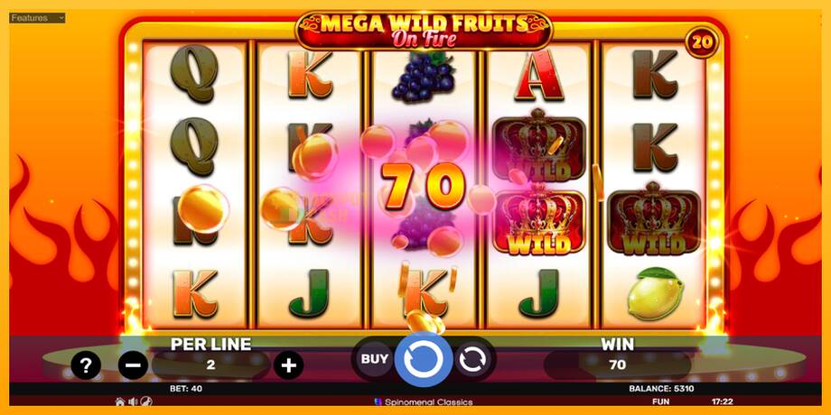 Mega Wild Fruits - On Fire машина за игри за пари, слика 4