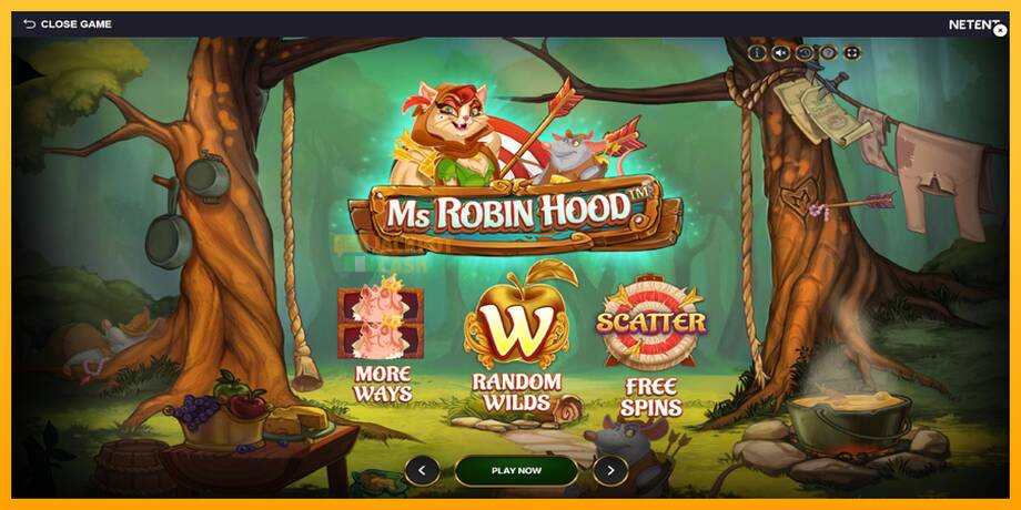 Ms Robin Hood машина за игри за пари, слика 1