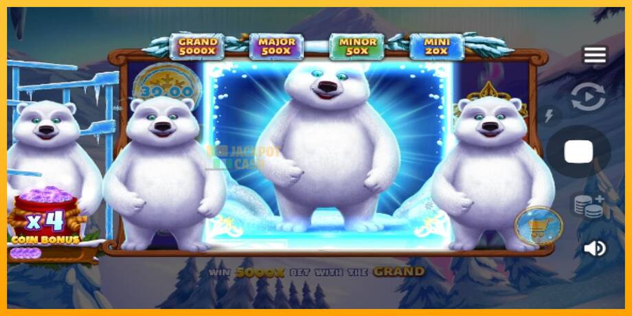 Polar Bonanza машина за игри за пари, слика 5