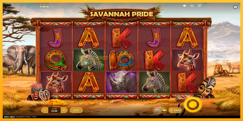 Savannah Pride машина за игри за пари, слика 1