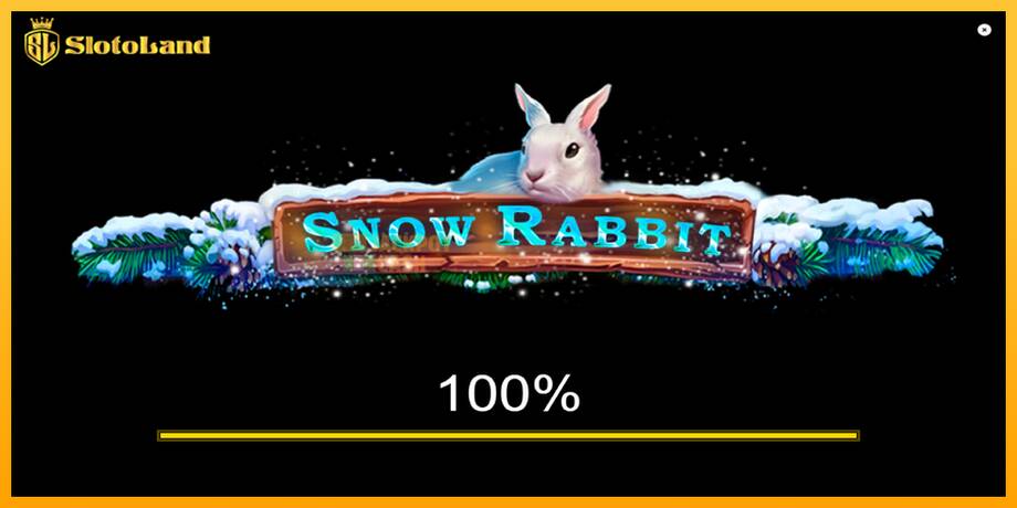 Snow Rabbit машина за игри за пари, слика 1