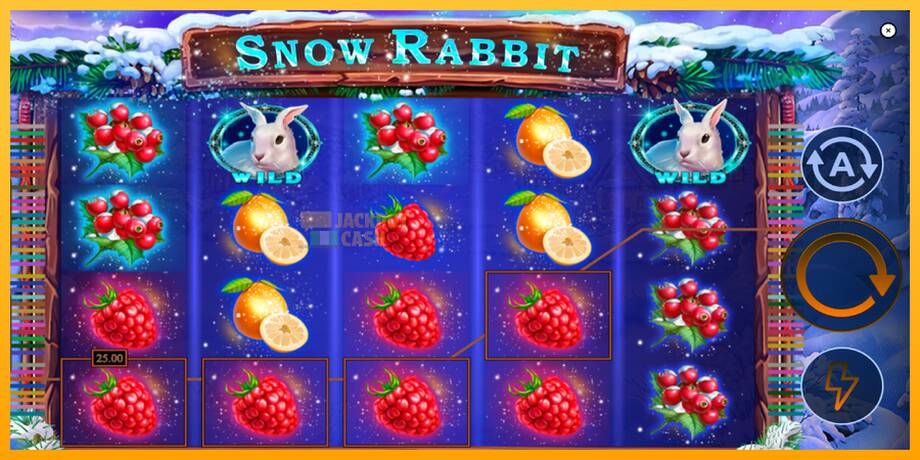 Snow Rabbit машина за игри за пари, слика 4