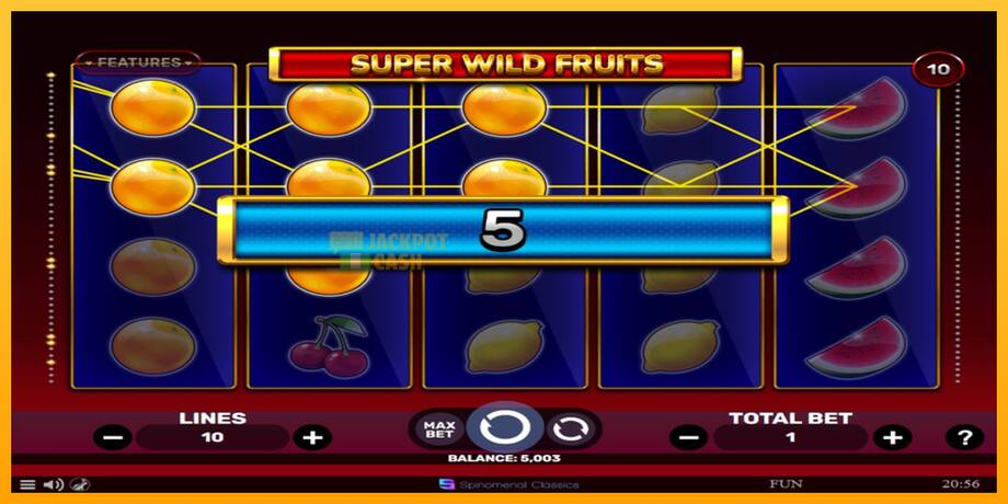 Super Wild Fruits машина за игри за пари, слика 2