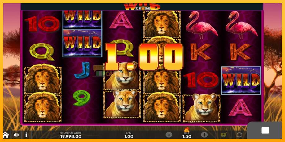 Wild Lion with Reel Bingo машина за игри за пари, слика 2