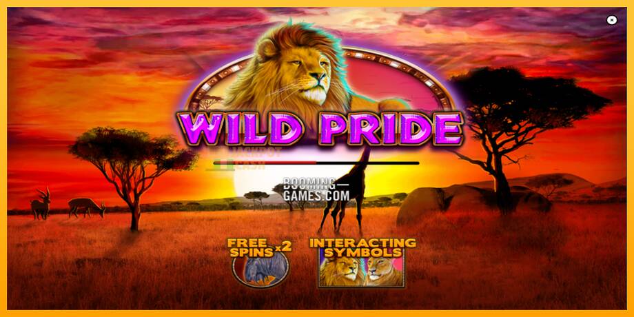 Wild Pride машина за игри за пари, слика 1