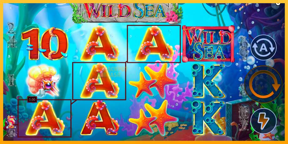 Wild Sea машина за игри за пари, слика 2