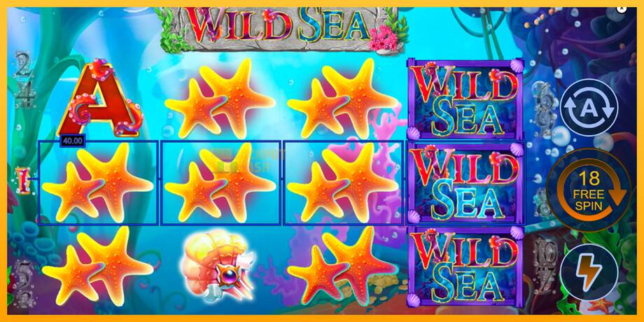 Wild Sea машина за игри за пари, слика 4