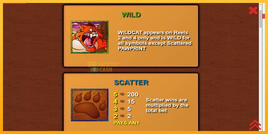 Wildcat Canyon машина за игри за пари, слика 5